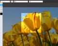 Thumbnail for version as of 13:36, 1 July 2014
