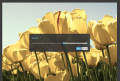 Thumbnail for version as of 13:37, 1 July 2014