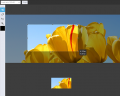 Thumbnail for version as of 13:36, 1 July 2014