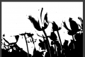 Thumbnail for version as of 13:37, 1 July 2014