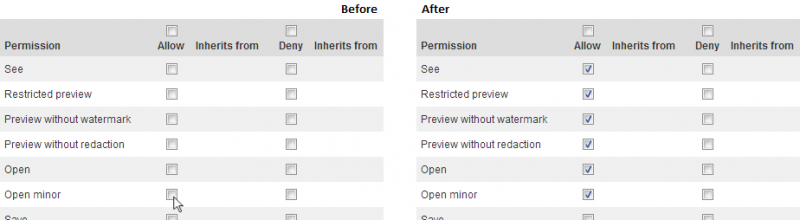 ReferenceWikiPermissionConstraintsOpenMinorAllow.png