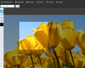 Thumbnail for version as of 13:37, 1 July 2014