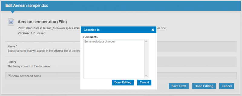 File:Checkin-addcomments-popup.png
