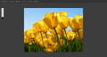 Thumbnail for version as of 13:35, 1 July 2014