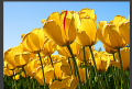 Thumbnail for version as of 13:36, 1 July 2014