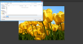 Thumbnail for version as of 13:36, 1 July 2014