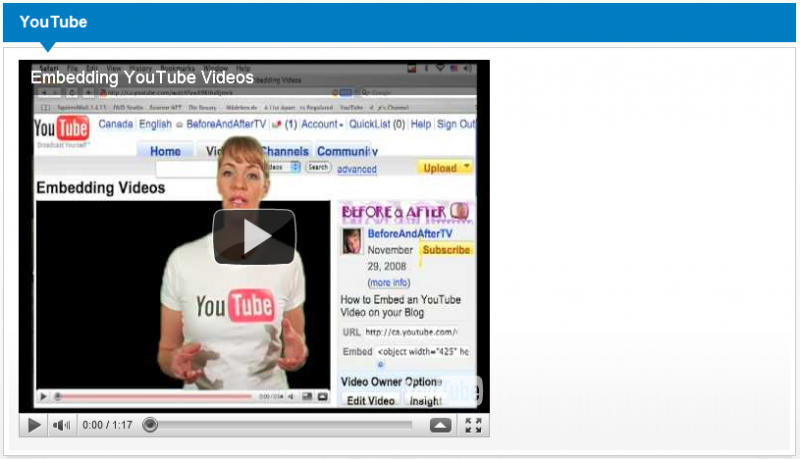 File:YouTube portlet.png