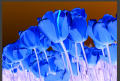 Thumbnail for version as of 13:37, 1 July 2014