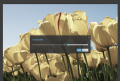 Thumbnail for version as of 13:37, 1 July 2014