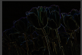 Thumbnail for version as of 13:36, 1 July 2014