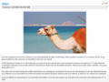 Thumbnail for version as of 19:16, 1 December 2010